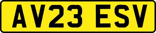 AV23ESV