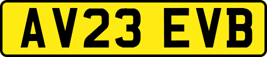 AV23EVB