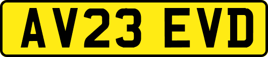 AV23EVD