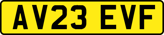 AV23EVF