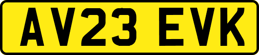 AV23EVK