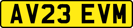 AV23EVM