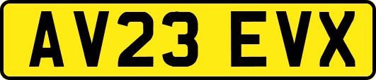 AV23EVX