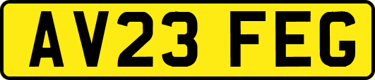 AV23FEG
