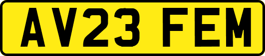 AV23FEM
