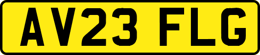 AV23FLG