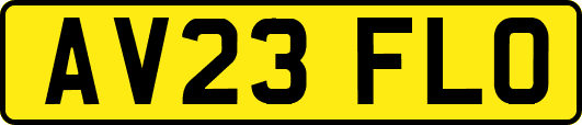 AV23FLO