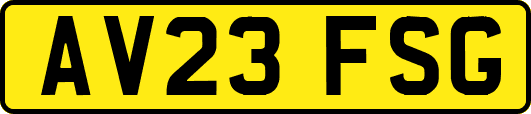 AV23FSG