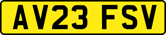 AV23FSV