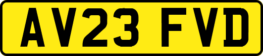 AV23FVD