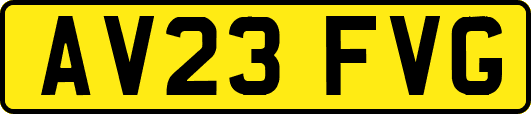 AV23FVG