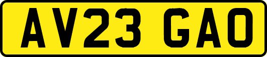 AV23GAO