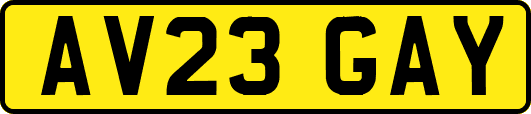 AV23GAY