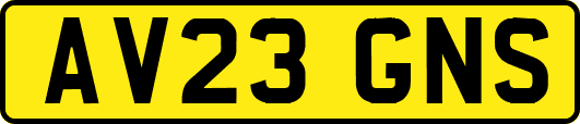 AV23GNS