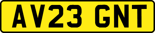 AV23GNT