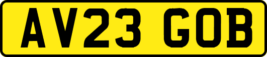 AV23GOB