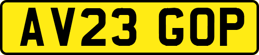 AV23GOP