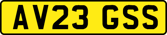 AV23GSS