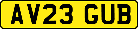 AV23GUB