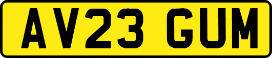 AV23GUM