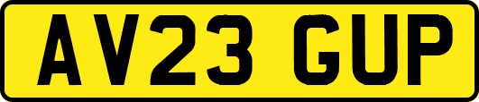 AV23GUP