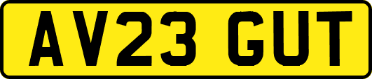 AV23GUT