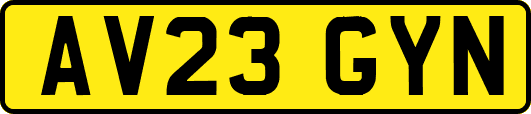 AV23GYN
