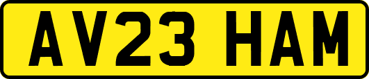 AV23HAM