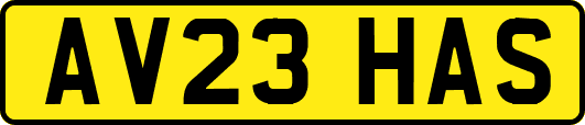 AV23HAS