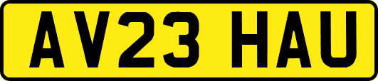 AV23HAU
