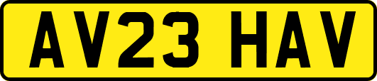 AV23HAV