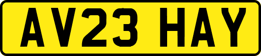 AV23HAY