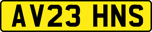 AV23HNS