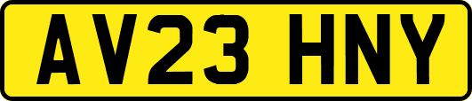 AV23HNY