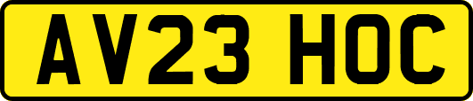 AV23HOC