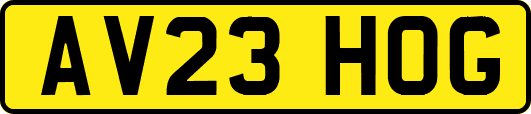 AV23HOG