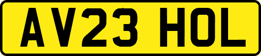 AV23HOL
