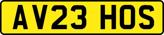 AV23HOS