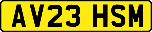 AV23HSM