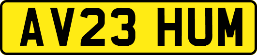 AV23HUM