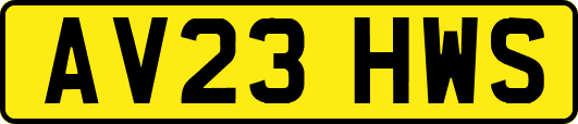 AV23HWS
