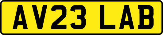 AV23LAB
