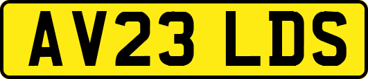 AV23LDS