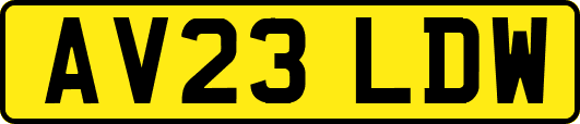 AV23LDW