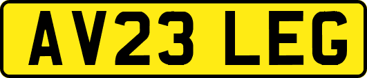 AV23LEG