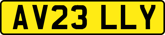 AV23LLY