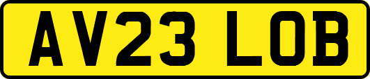 AV23LOB