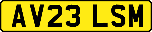 AV23LSM