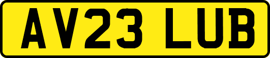 AV23LUB