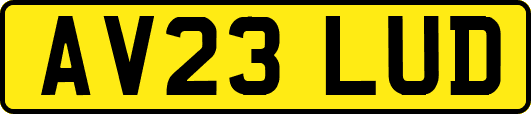 AV23LUD